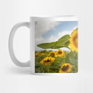 Sunflower and Bees Mug